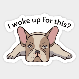 Grumpy Frenchie Sticker